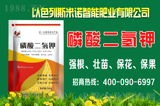 ����ʲô�r(sh��)�gʩ�������ٵ�ʩ�ʕr(sh��)�g��������B��