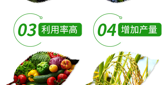 22%苯醚·咯·噻蟲-尚巧-國(guó)人福_07