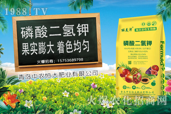 ����С���r(ji��)���ϝq�������Ƿ�����m(x��)�ϝq��