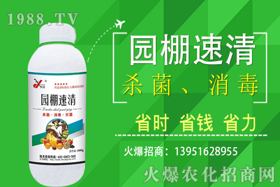 2020年11月5日局部花生價(jià)格報(bào)道!