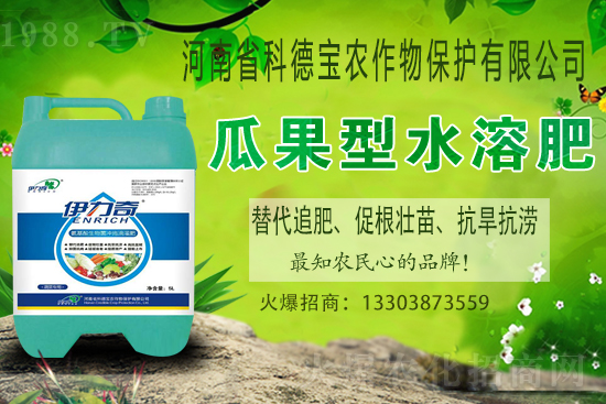 江西贛南臍橙什么時候成熟上市?如何挑選贛南臍橙?