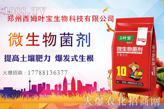     11月7日部分區(qū)域花生價格行情綜述分析！