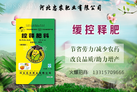 大蒜的產(chǎn)地在哪？種一畝地大蒜要用多少蒜種？畝產(chǎn)量是多少斤？