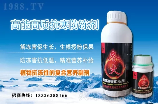 早春韭菜如何施肥？韭菜施肥方法和注意事項！