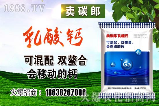 政策阻力較大，小麥價格整體高位趨穩(wěn)！