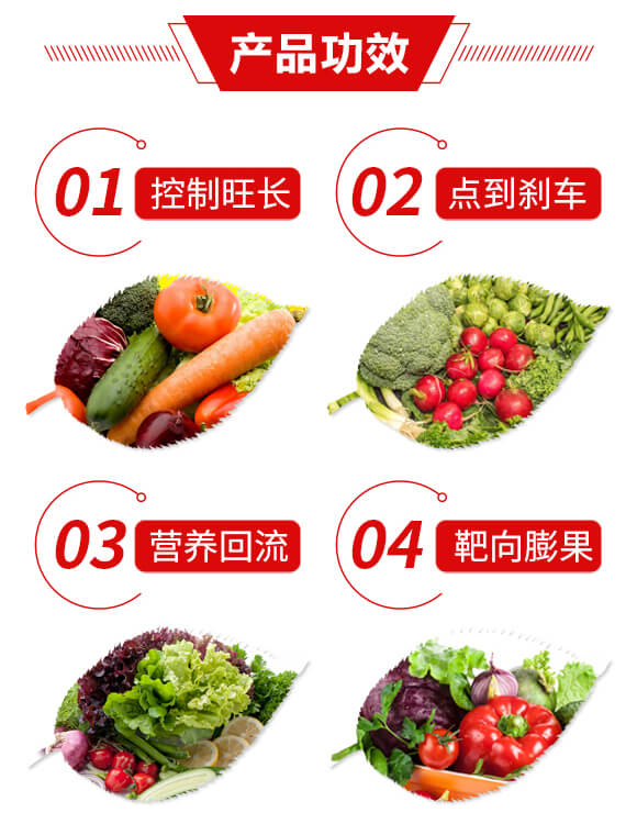 �����T�������(f��)�����Ƅ�-�ƿ�-���u֮��_03