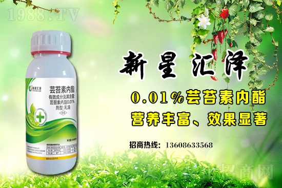 �|̦�؃�(n��i)֬