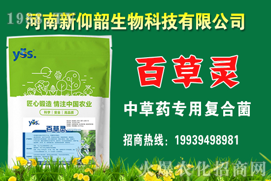 今年小麥價(jià)格還會(huì)漲嗎?2020年12月小麥價(jià)格行情如何?
