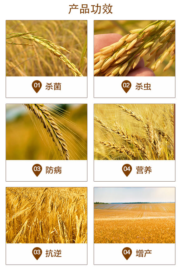 小麥高產(chǎn)套餐（四效合一）-粒粒多-泰利爾_03