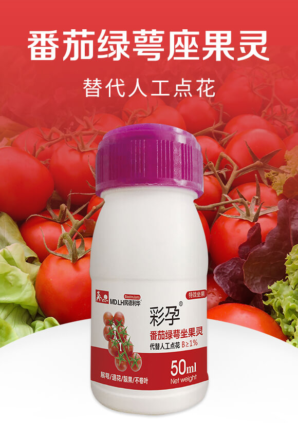 番茄綠萼座果靈-彩孕-民德利華_01