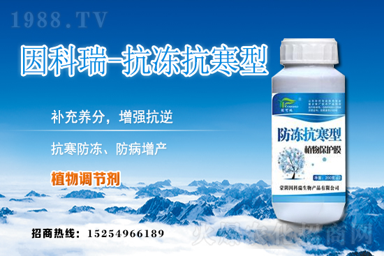 今日稻谷價(jià)格多少錢一斤？2020年12月9日稻谷價(jià)格行情