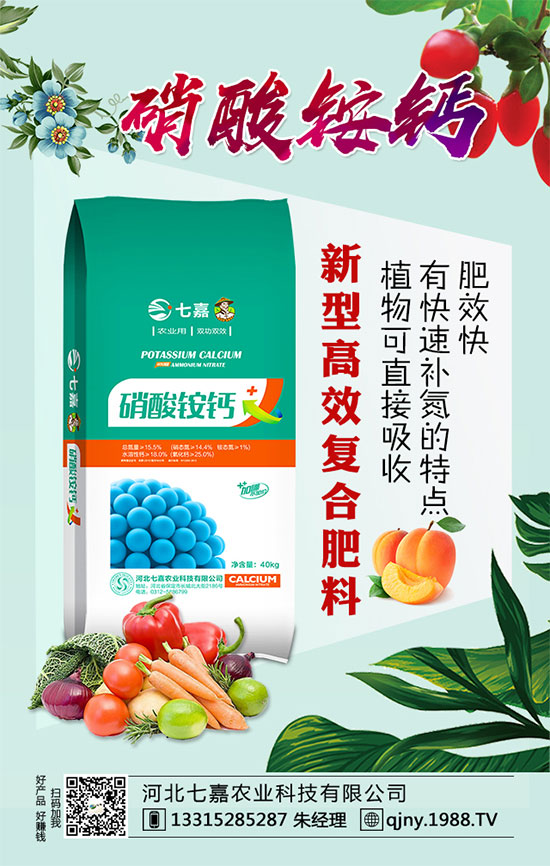 春季辣椒育苗需注意哪些事項?辣椒種植栽培技術!