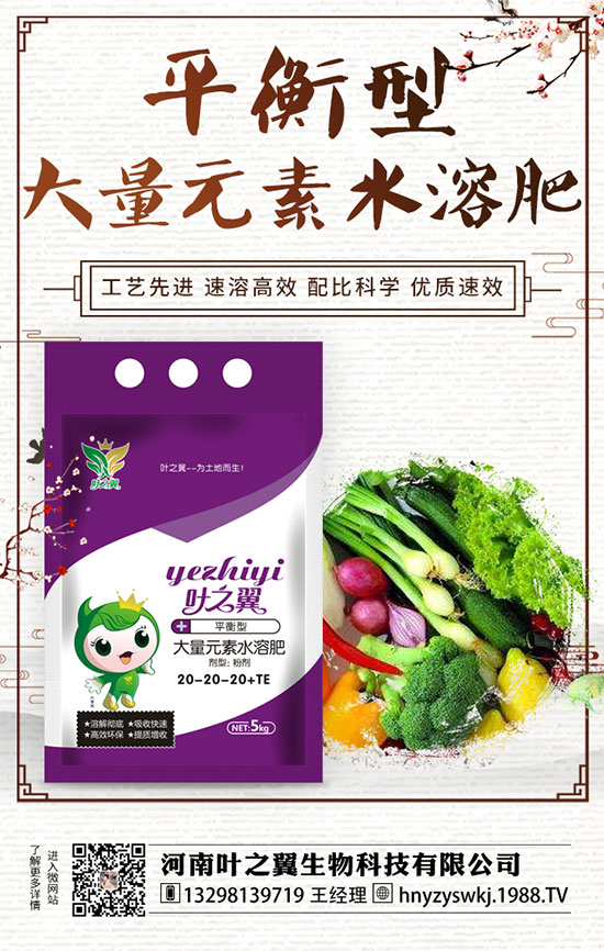 牡丹什么時候開花？如何延長牡丹開花時間？