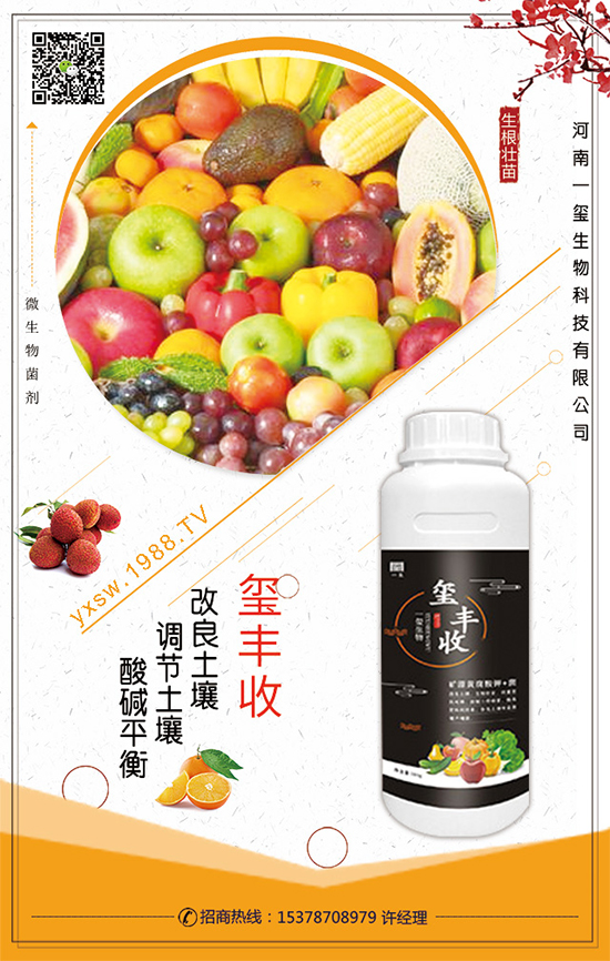 空心菜什么時(shí)間栽培?空心菜的栽培要點(diǎn)!