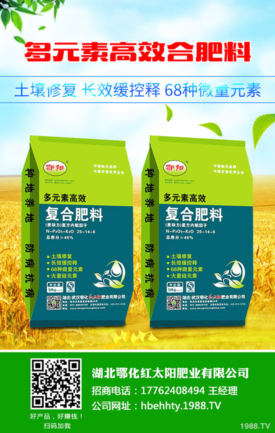 豆角種植時間,豆角種植方法要點!