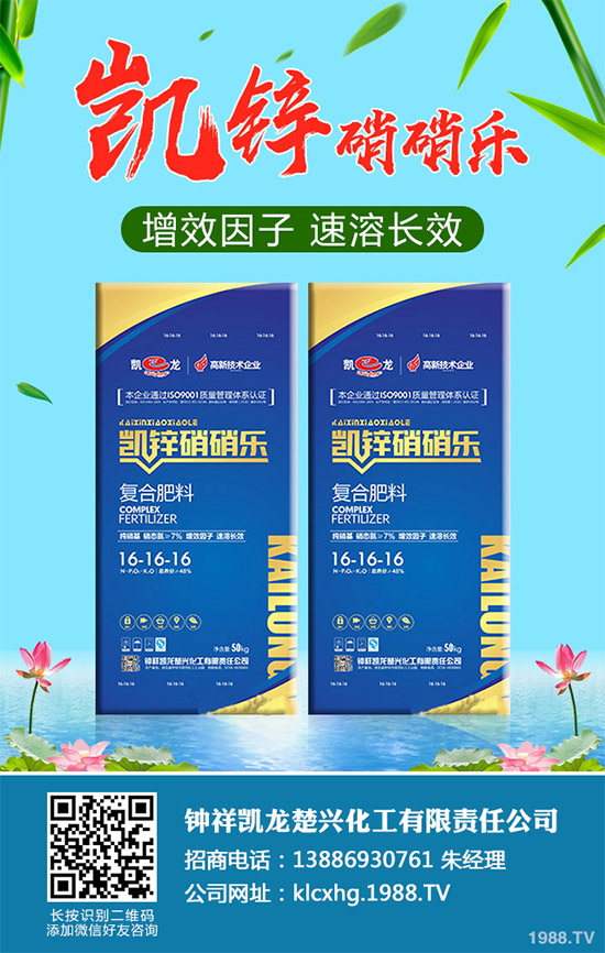 蠶豆該怎么種？蠶豆的種植技術(shù)及病害防治要點