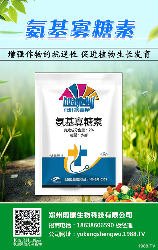 蠶豆該怎么種？蠶豆的種植技術(shù)及病害防治要點