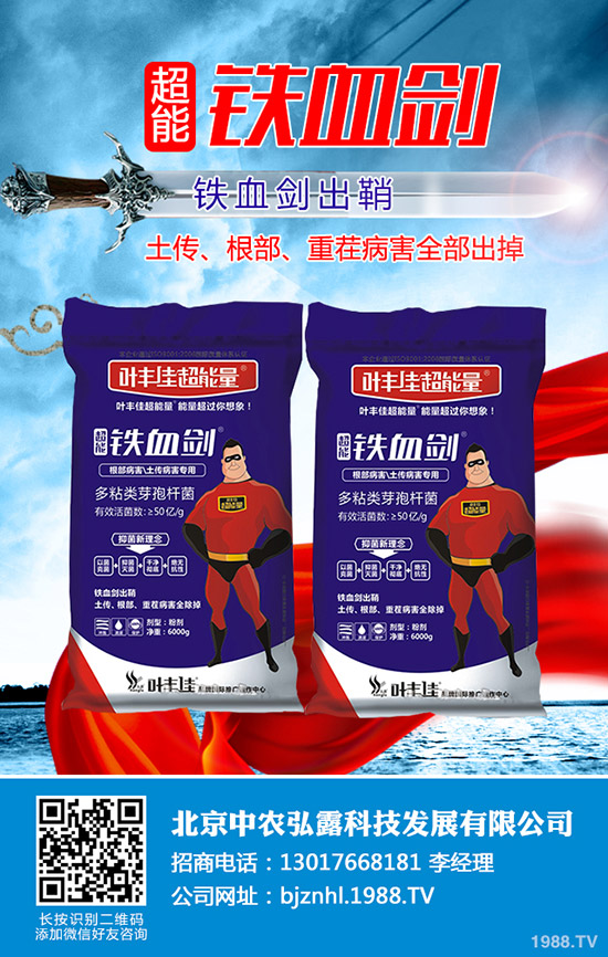     ���ҷ��Ѱ׷�ʭ��Σ�������ҷ��Ѱ׷�ʭ���ӷ�����