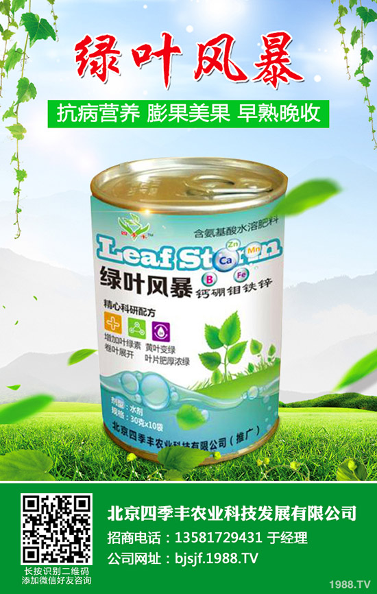 辣椒白粉病為何難防治？辣椒白粉病發(fā)病原因及防治！