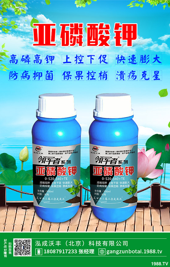 有機(jī)蔬菜與無公害蔬菜的區(qū)別,無公害蔬菜如何防蟲?