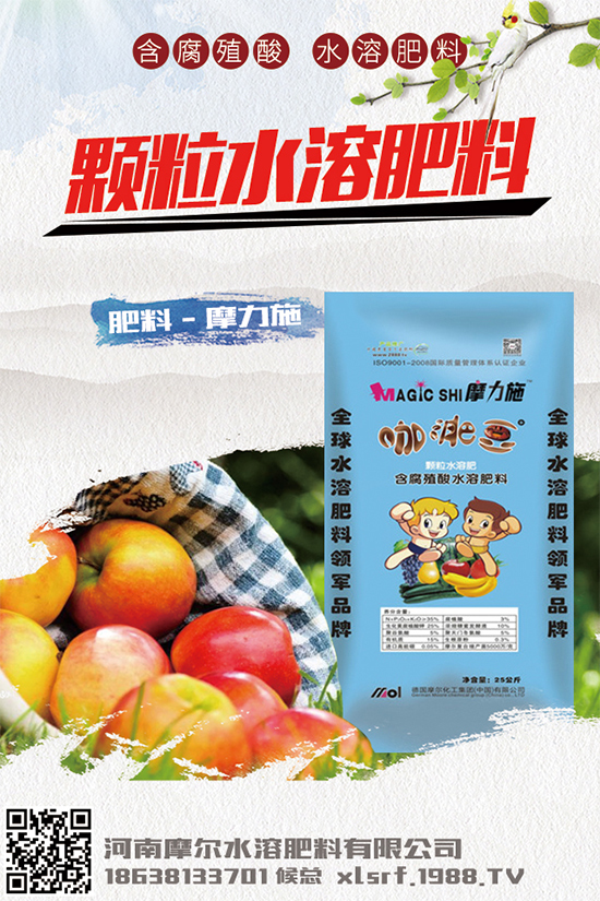 種植白術(shù)掙錢嗎？2020白術(shù)種植前景及效益分析