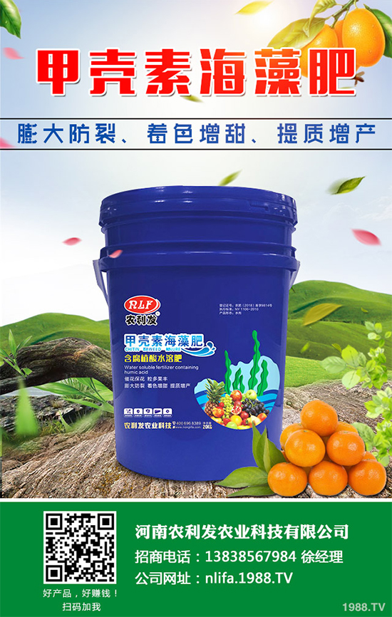 種植白術(shù)掙錢嗎？2020白術(shù)種植前景及效益分析