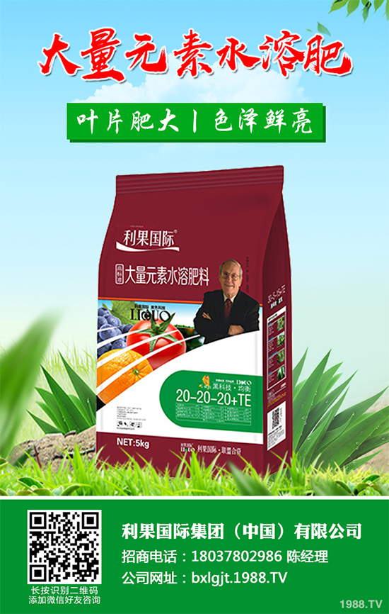 金銀花種植前景如何？2020金銀花的種植前景及效益分析