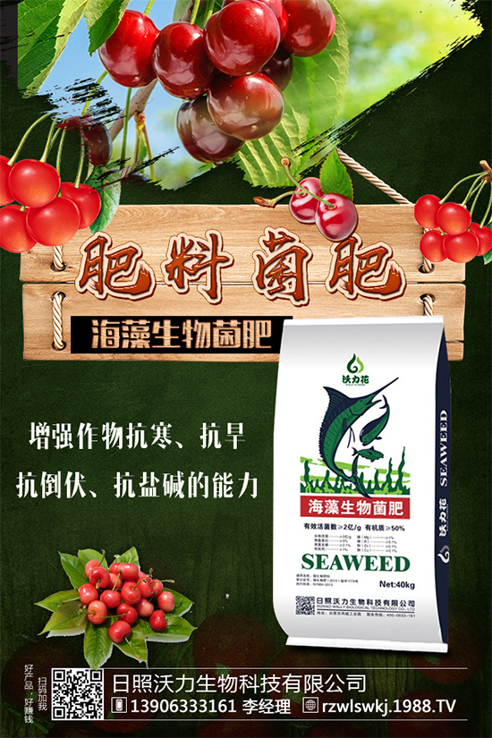 春玉米該如何種植？早春玉米高產(chǎn)種植技術(shù)要點(diǎn)