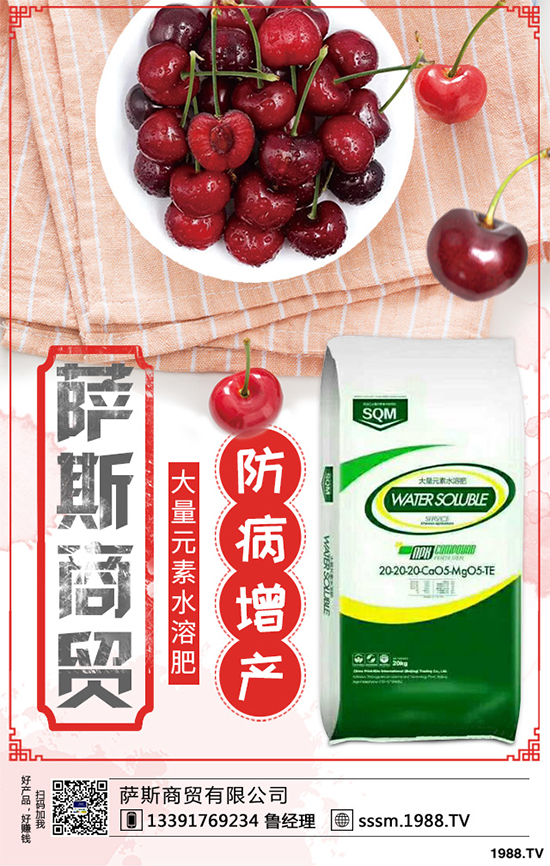 春玉米該如何種植？早春玉米高產(chǎn)種植技術(shù)要點(diǎn)