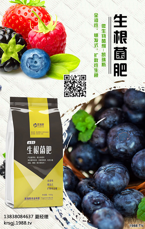 黃秋葵營(yíng)養(yǎng)價(jià)值，黃秋葵露地種植方法