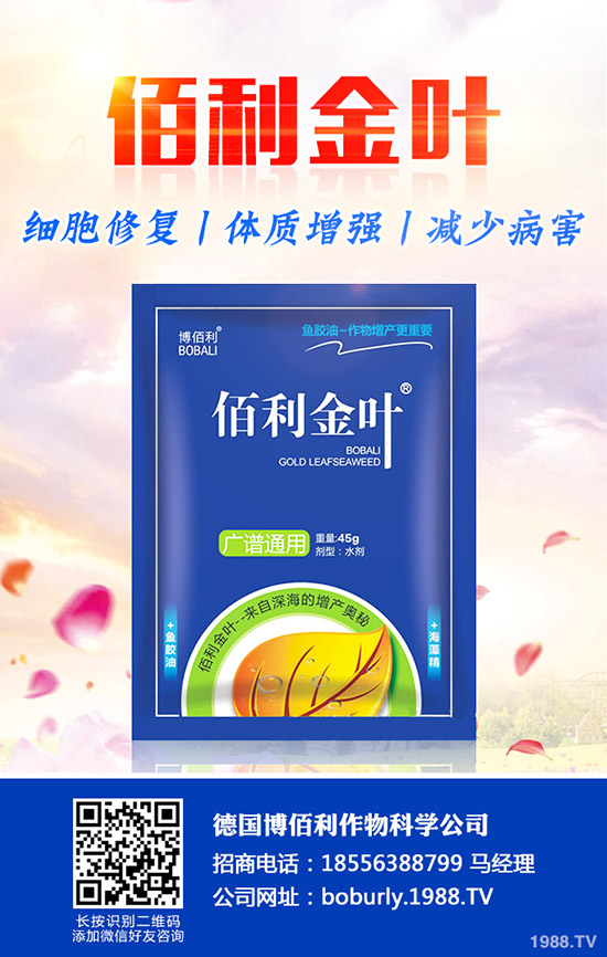 果樹如何預防肥害，發(fā)生肥害了如何補救？