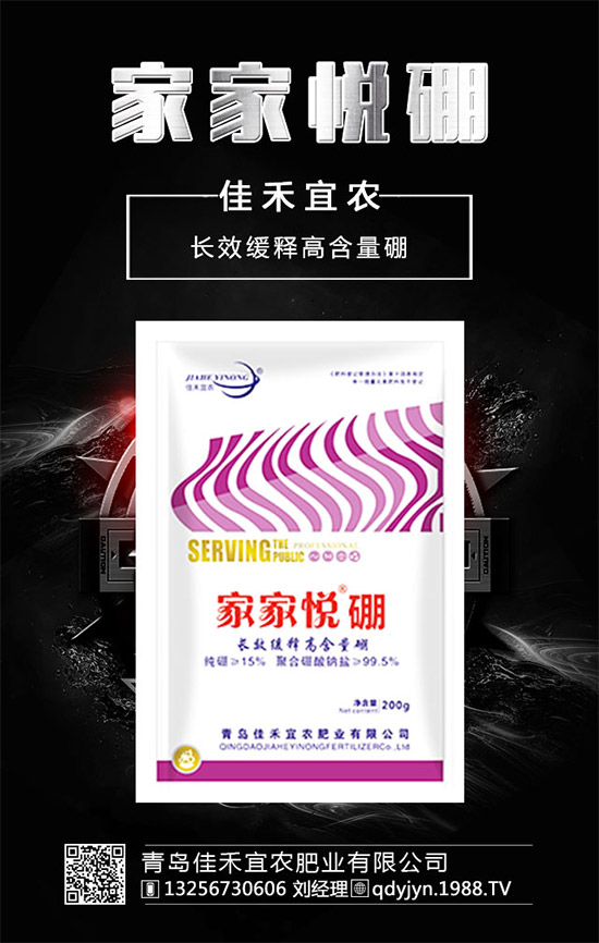 什么時(shí)候種植四季豆?四季豆的種植管理