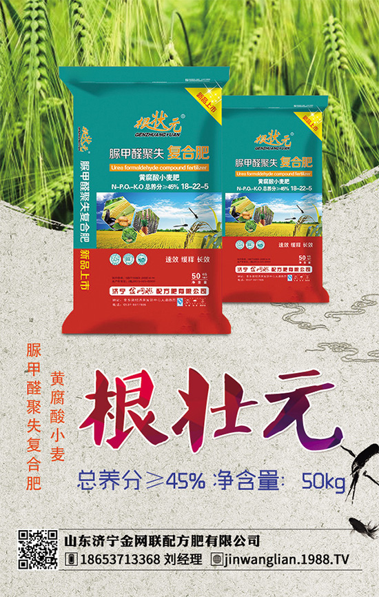 露地茄子該如何種植?茄子春季種植管理技術(shù)要點(diǎn)