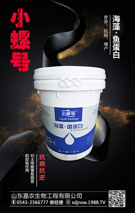 露地茄子該如何種植?茄子春季種植管理技術(shù)要點(diǎn)