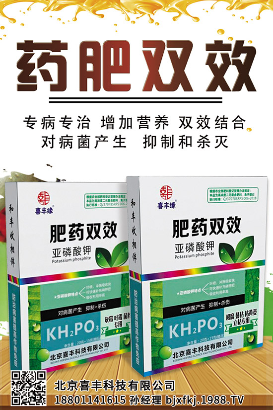 西蘭花施肥管理技術(shù)有哪些，這些一定要看！