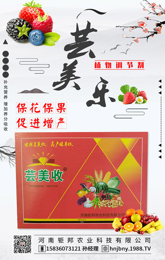 花生白絹病有什么危害？花生白絹病的防治措施！