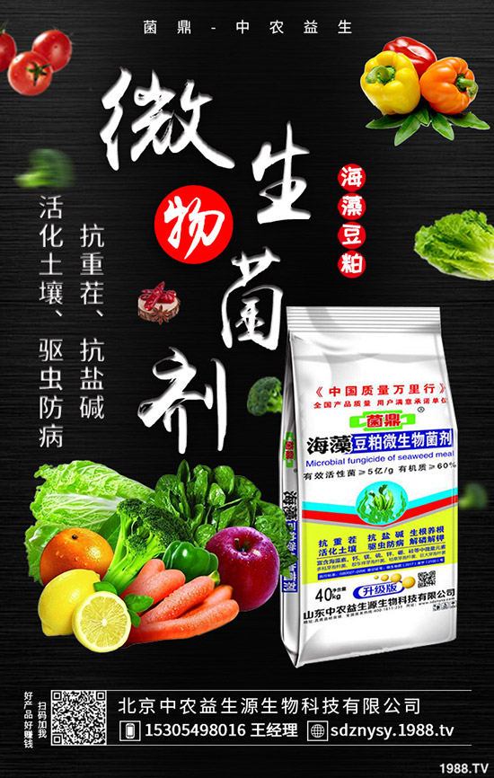 二銨全力發(fā)運春耕需求,價格穩(wěn)定!最新二銨行情走勢2020-3-28!