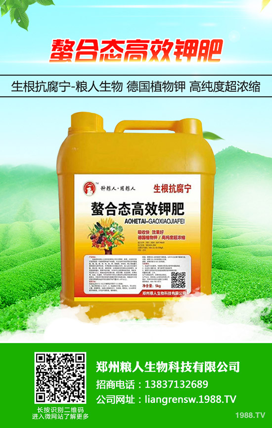 蔥得了灰霉病怎么辦？大蔥灰霉病的防治方法！