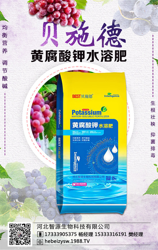 芹菜的營養(yǎng)價值有哪些?常吃芹菜有什么好處?