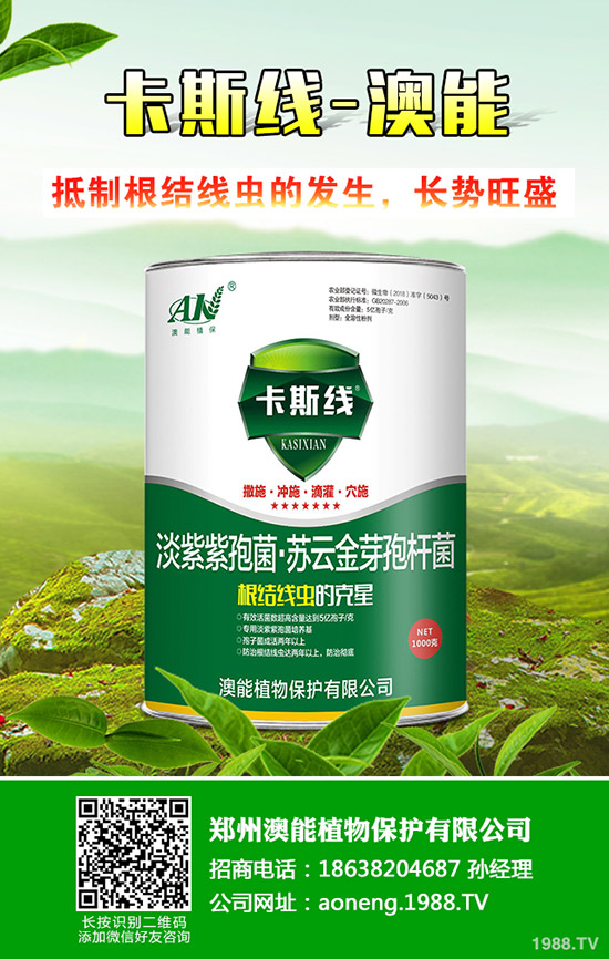 南瓜種植時間是什么時候?南瓜的種植技巧!