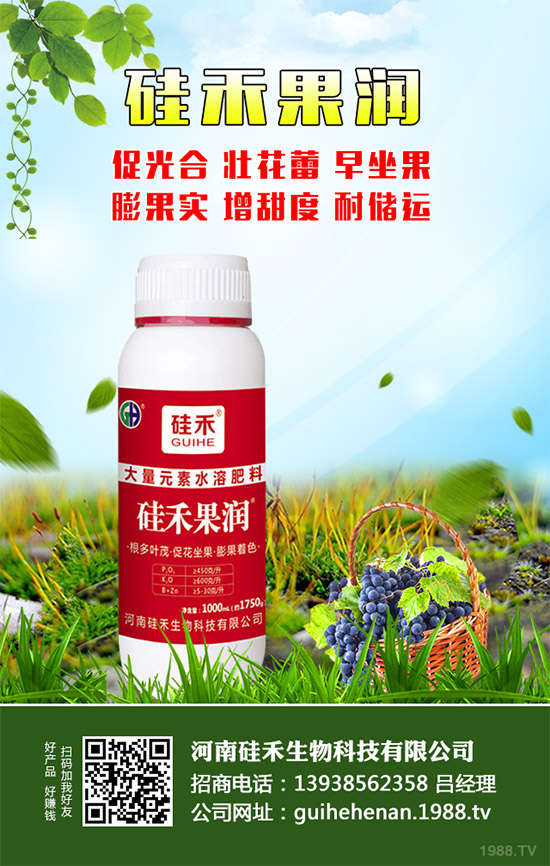 �������\�°l(f��)չ�����Ϲ�������ٴκ��s1988.TV��