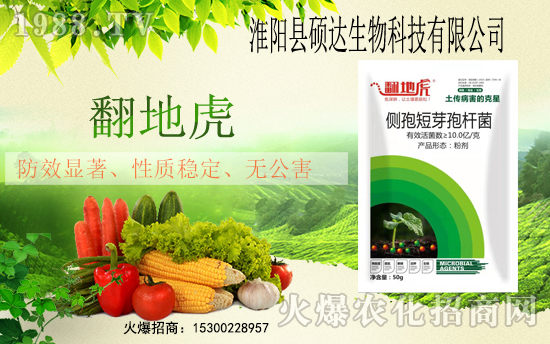 ���r(n��ng)���W(w��ng)ϲӭ���������T�_(d��)����𱬁�(l��i)�u�����v�ɹ���