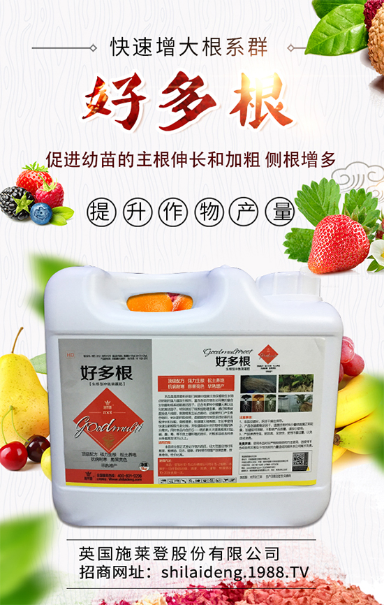 春季菠菜在什么時(shí)候種植好？菠菜種植技術(shù)要點(diǎn)有哪些？	