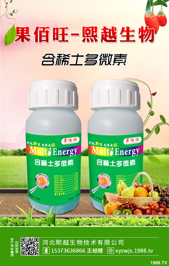 洋桔梗該如何種植?洋桔梗栽培種植技術