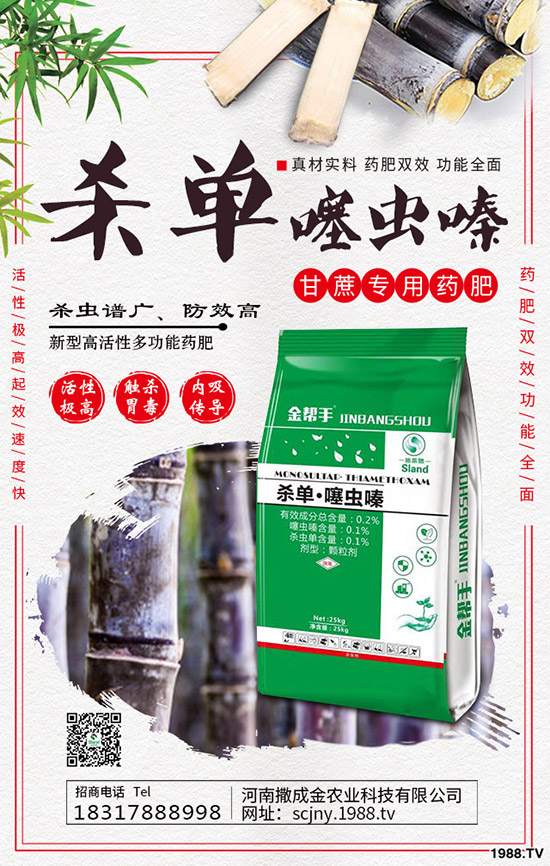 芹菜得了菌核病怎么辦？棚栽芹菜菌核病如何防治？