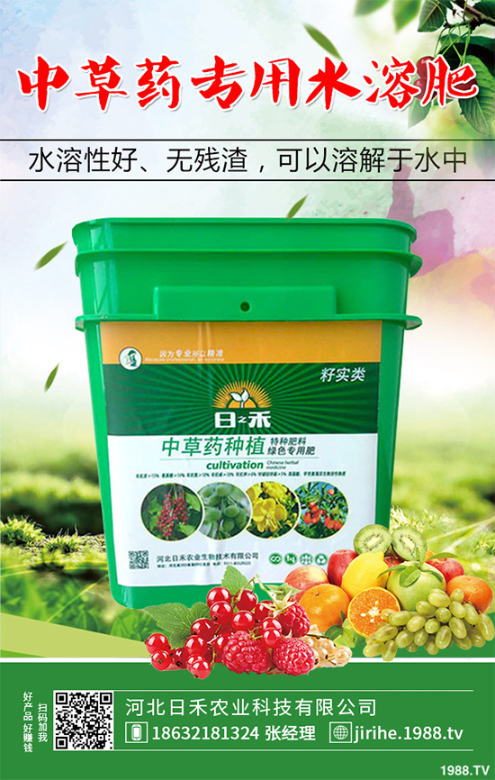 射干該怎么種植？中藥材射干的種植技術(shù)要點(diǎn)