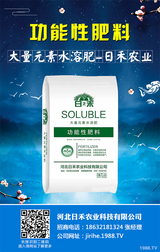 射干該怎么種植？中藥材射干的種植技術(shù)要點(diǎn)