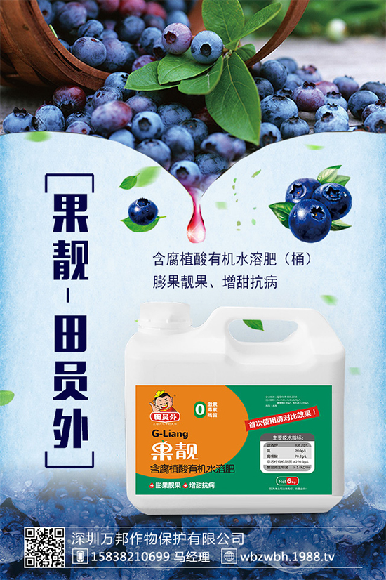 太子參的市場(chǎng)前景如何?2020太子參種植的效益分析