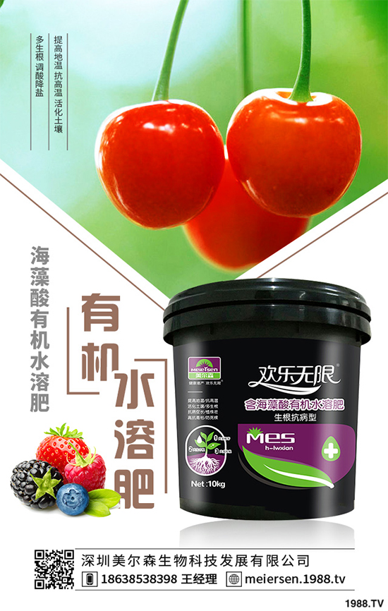 楊梅的品種有哪些？該如何栽培？春季楊梅種植技術(shù)