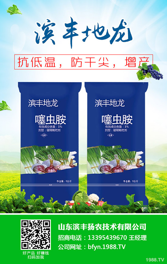     小麥什么時間抽穗？小麥早出穗危害！怎么辦？補救措施有哪些？